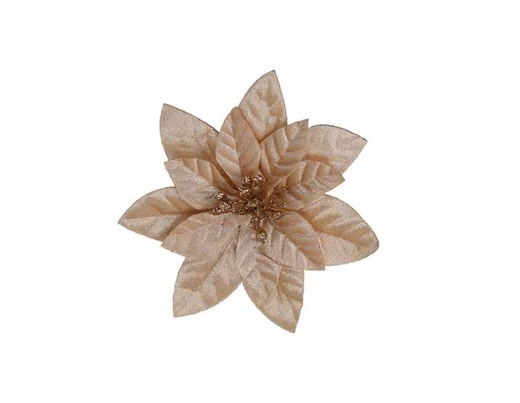 Fleur de Noël Poinsettia champagne en velours sur clip pour décorer les extrémités de votre sapin de Noël.

Diamètre 12cm