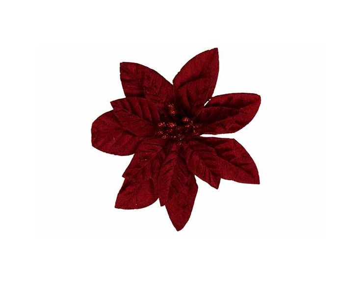 Poinsettia bordeaux velours D12cm